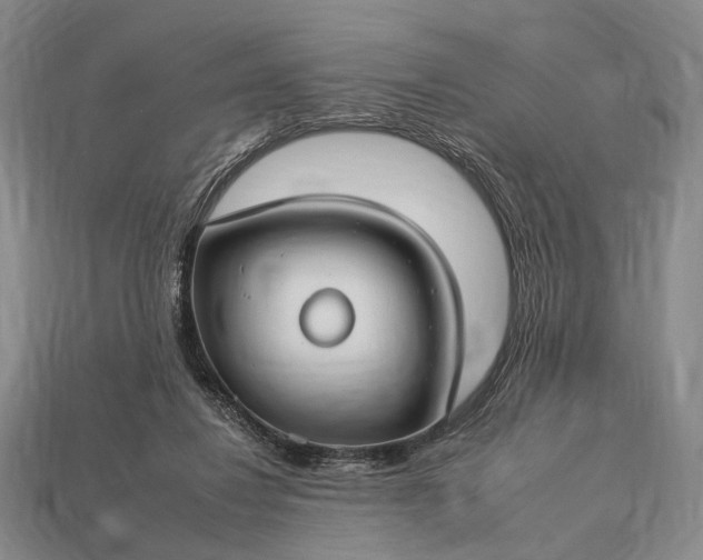 X0000112930260200909071039