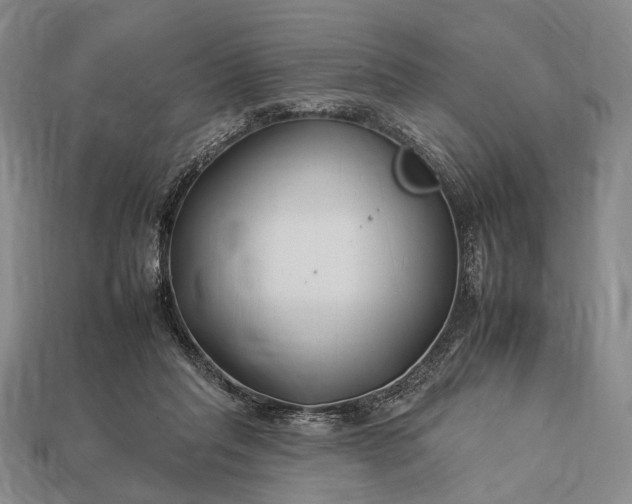 X0000112930261200909071039