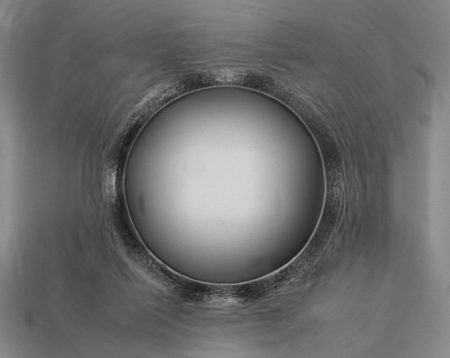 X0000112930262200909071039