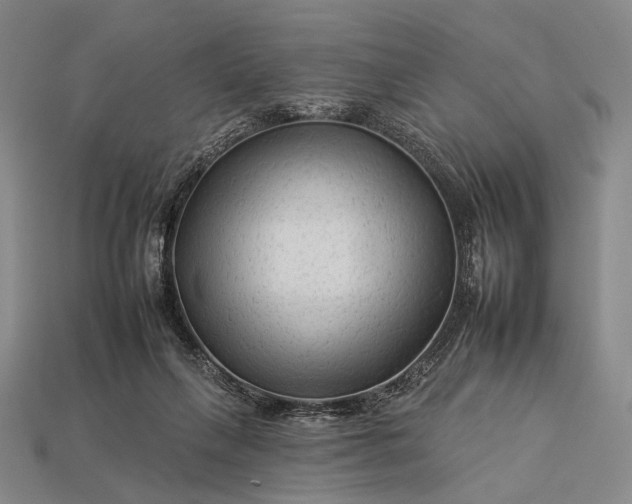 X0000112930263200909071039