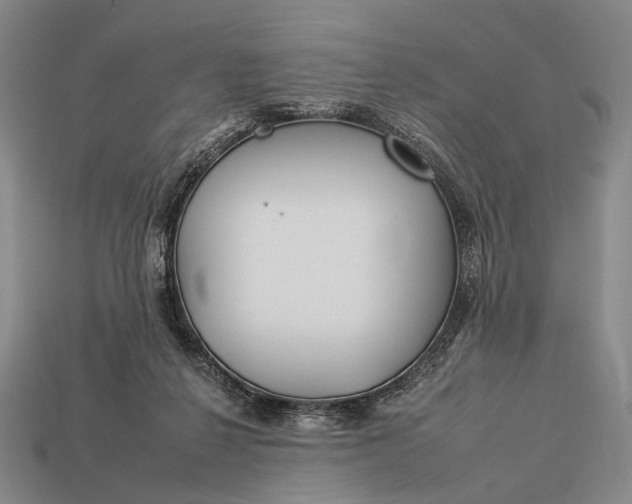 X0000112930264200909071039