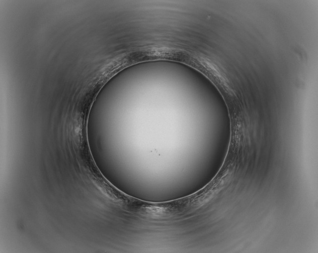 X0000112930265200909071039