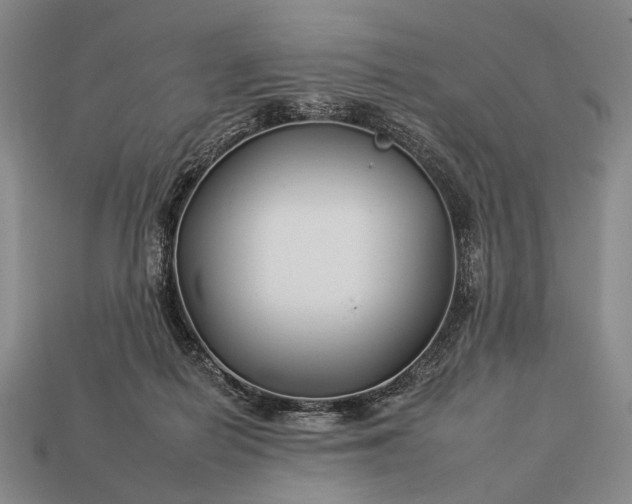 X0000112930266200909071039