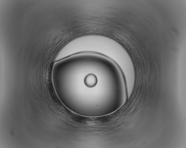 X0000112930268200909071040