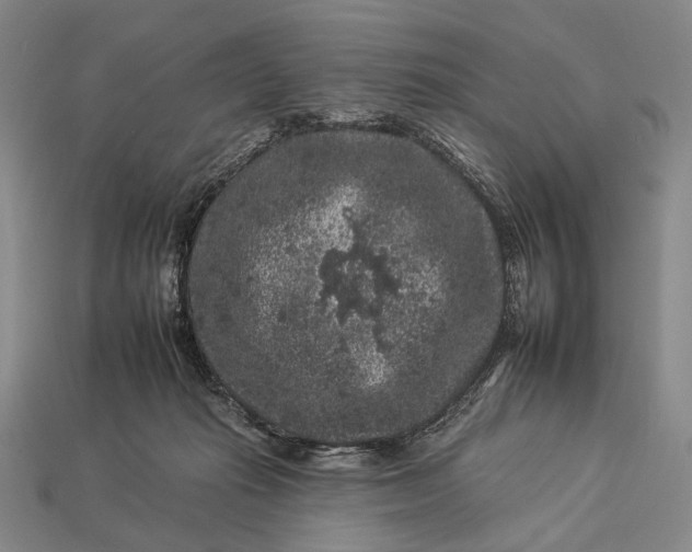 X0000112930269200909071040