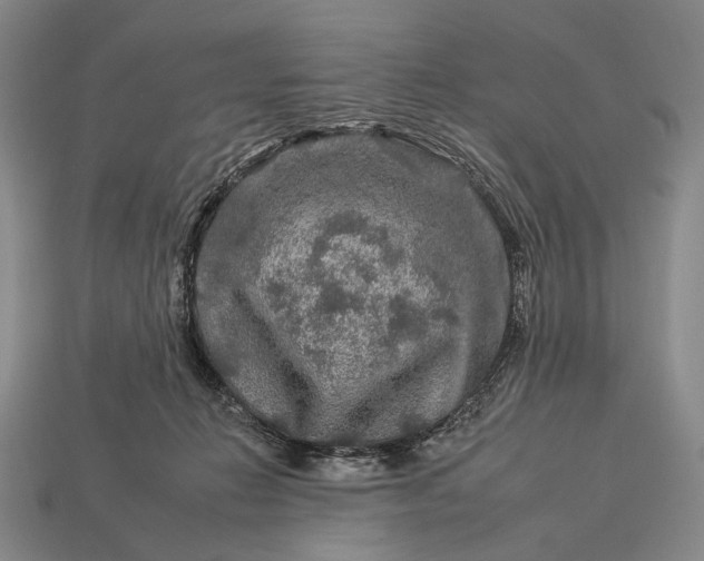 X0000112930270200909071040