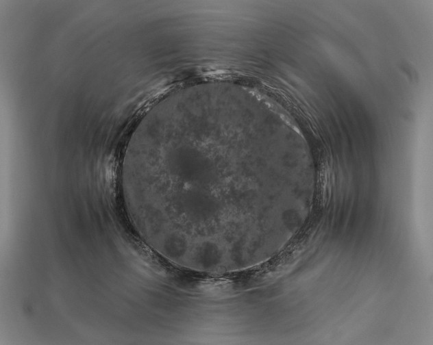 X0000112930271200909071040