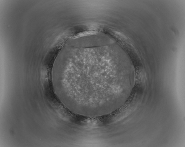 X0000112930272200909071040