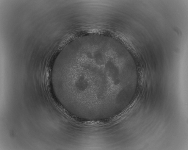 X0000112930273200909071040