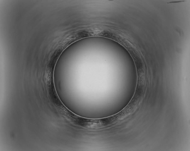 X0000112930274200909071040