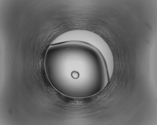 X0000112930276200909071040