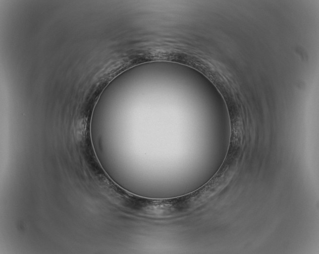 X0000112930278200909071040