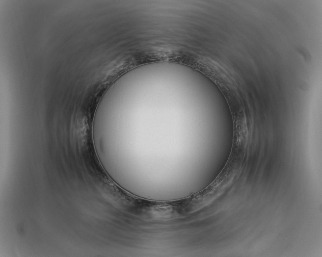 X0000112930279200909071040