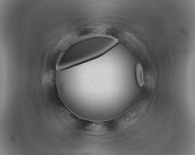 X0000112930280200909071040