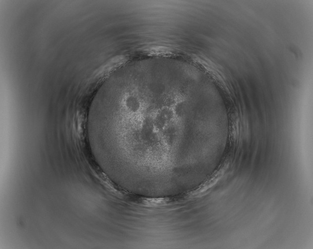 X0000112930281200909071040