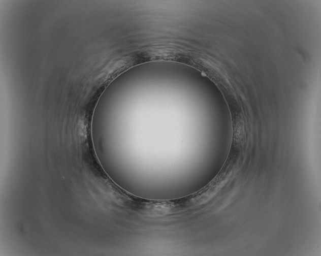 X0000112930282200909071040