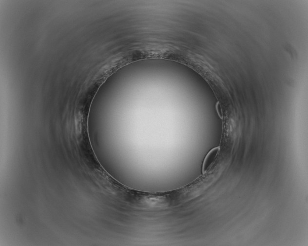 X0000112930283200909071040