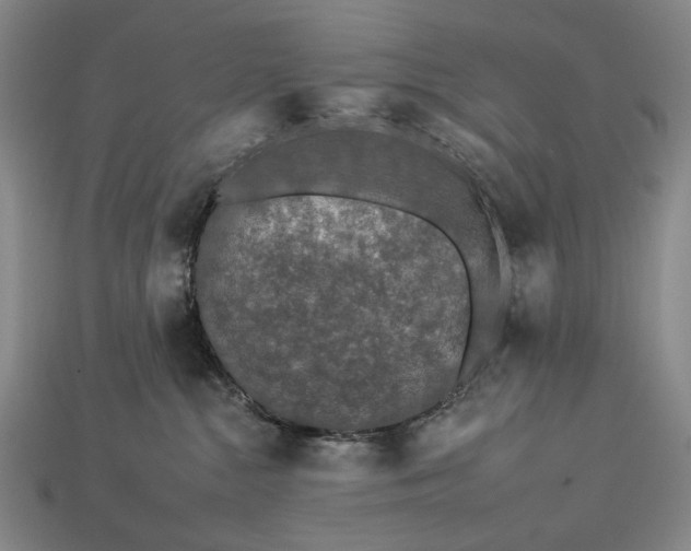 X0000112930284200909071040