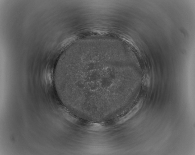 X0000112930285200909071040