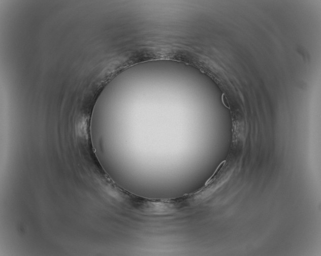 X0000112930286200909071040