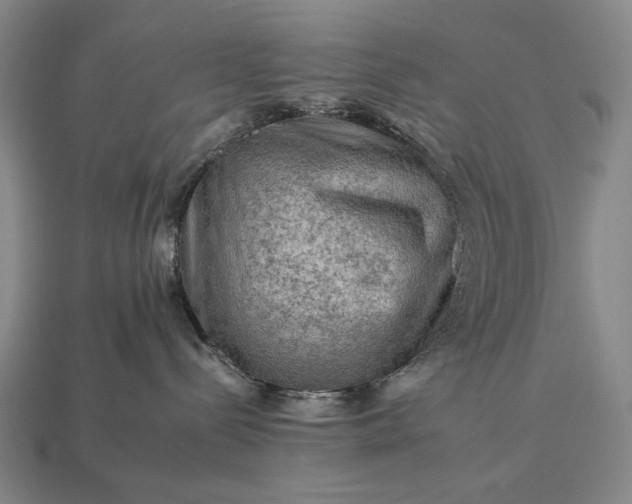 X0000112930288200909071040