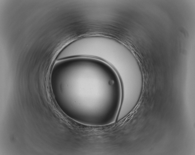 X0000112930289200909071039