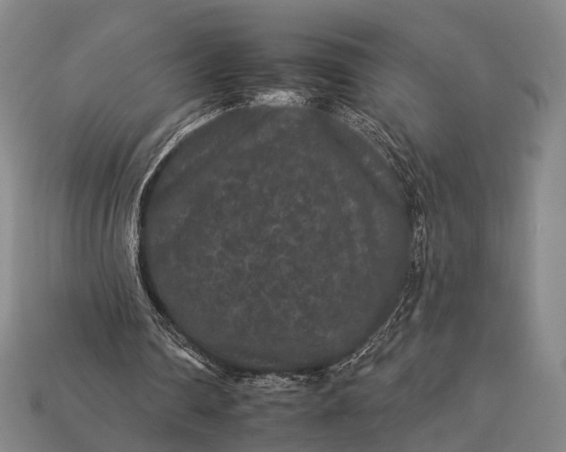 X0000112930290200909071039