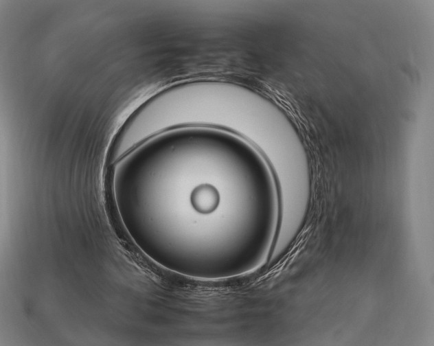 X0000112930292200909071039