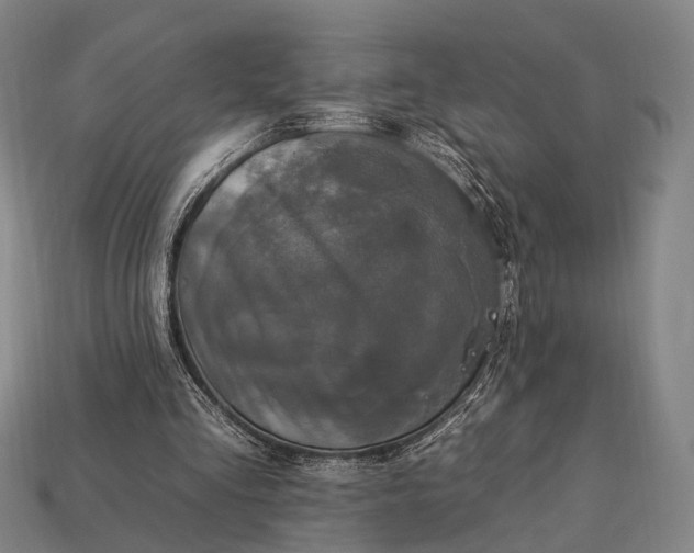 X0000112930293200909071039