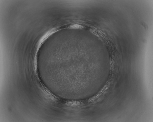 X0000112930294200909071039