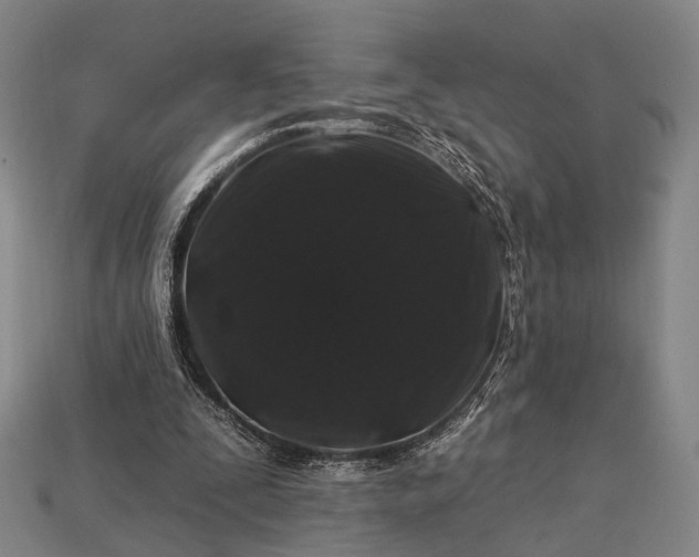 X0000112930295200909071039