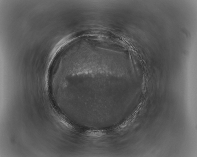 X0000112930296200909071039