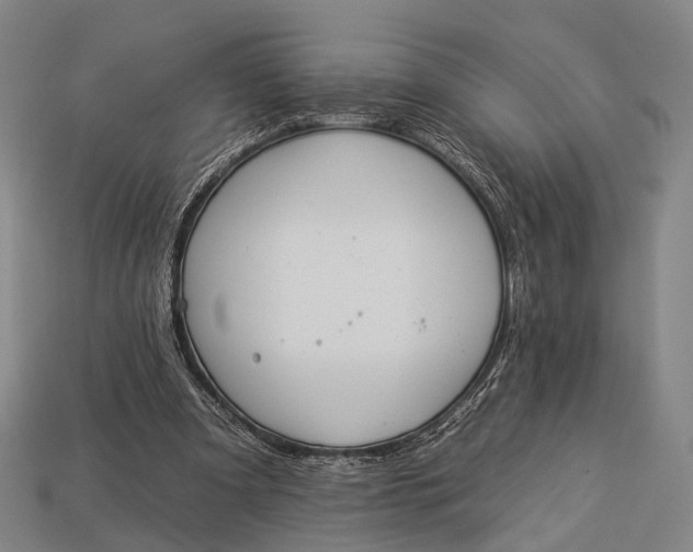 X0000112930297200909071039