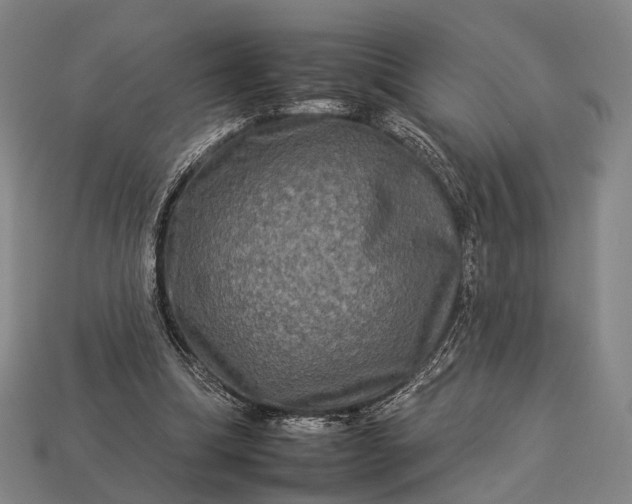 X0000112930298200909071039