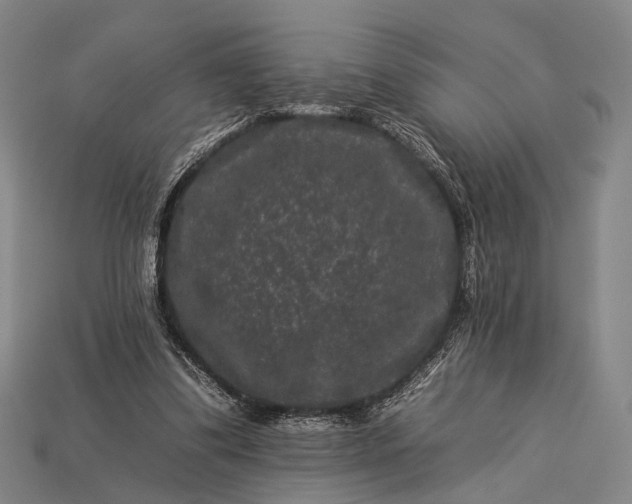 X0000112930299200909071039