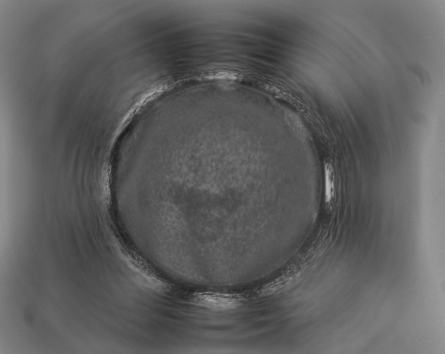 X0000112930300200909071039