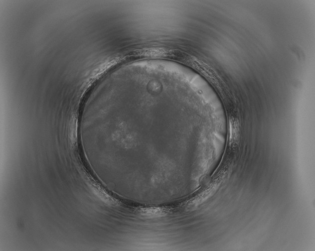 X0000112930301200909071039