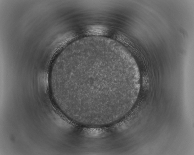 X0000112930302200909071039