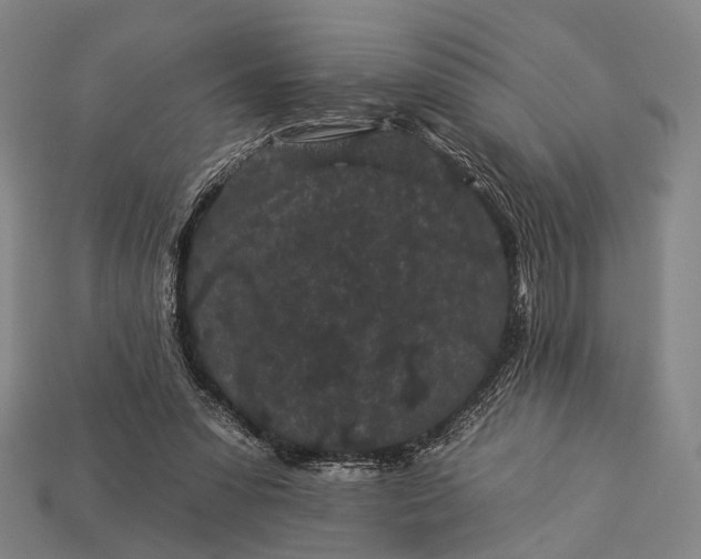 X0000112930303200909071039