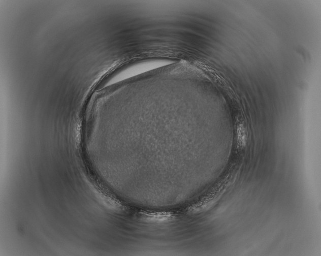 X0000112930304200909071039