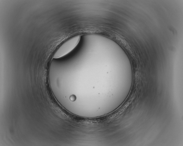 X0000112930305200909071039