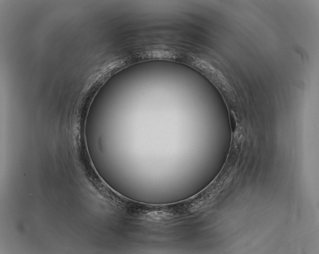 X0000112930306200909071039