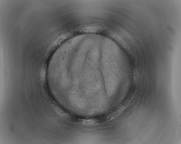 X0000112930309200909071039