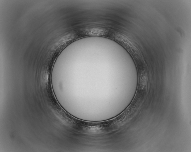 X0000112930310200909071039