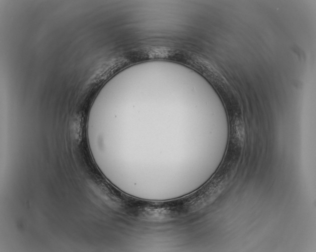 X0000112930311200909071039