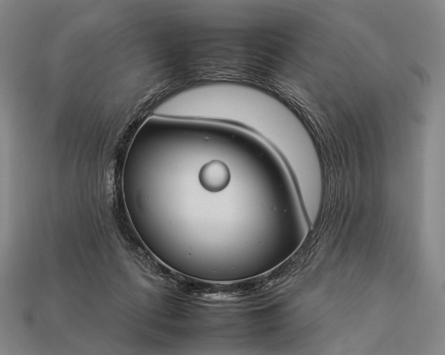 X0000112930312200909071039