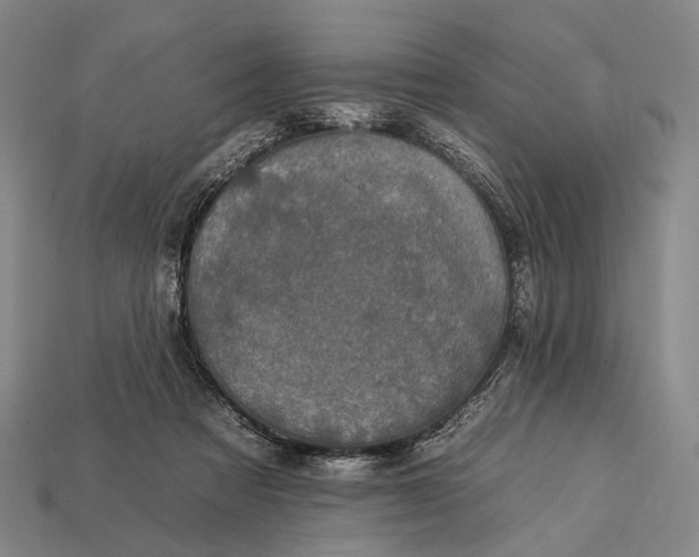 X0000112930313200909071039