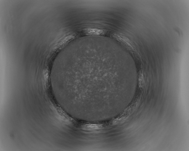 X0000112930314200909071039