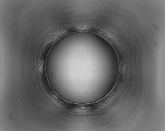 X0000112930315200909071039