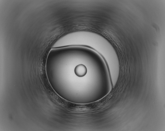 X0000112930316200909071039